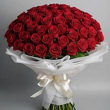 Букет 101 Красная роза Блэк Мэджик в Милославском