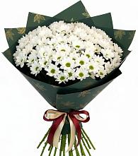 Букет цветов из:  Хризантемы #REPLACE_PRED# Милославском