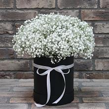 Цветочная композиция из Гипсофила в шляпной коробке в Милославском
