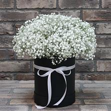 Цветочная композиция из Гипсофила в шляпной коробке в Милославском