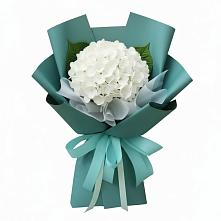 Букет цветов из:  Гортензия #REPLACE_PRED# Милославском